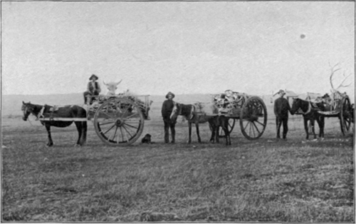 Gathering Buffalo Bones