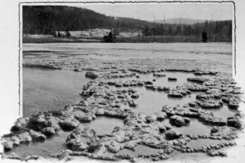 The Biscuit Basin