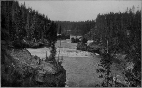 Yellowstone River Above The Falls
